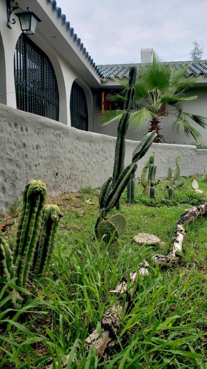 Posada Villa Los Sauces Lujan de Cuyo Kültér fotó